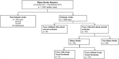 Large Vessel Occlusion in Patients With Minor Ischemic Stroke in a Population-Based Study. The Dijon Stroke Registry